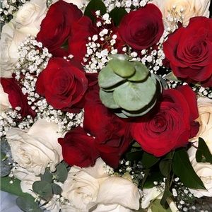 Meet your Posher, Alanna